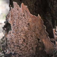 Unverified at suppressed - suppressed