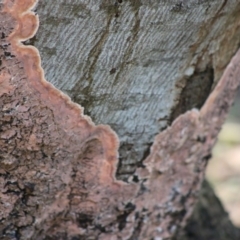 Unverified at suppressed - suppressed