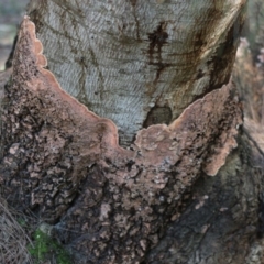 Unverified at suppressed - suppressed