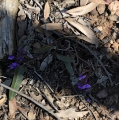 Hardenbergia violacea (False Sarsaparilla) at Acton, ACT - 25 Aug 2020 by Goldtuft864