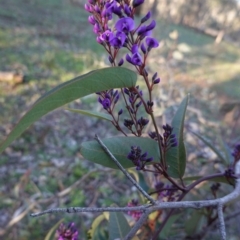 Hardenbergia violacea at Hughes, ACT - 30 Aug 2020