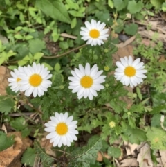 Unverified at suppressed - suppressed