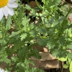 Unverified at suppressed - suppressed