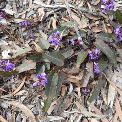 Hardenbergia violacea (False Sarsaparilla) at Holt, ACT - 5 Sep 2020 by MatthewFrawley