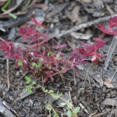 Unidentified at suppressed - 7 Sep 2020