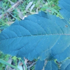 Unverified at suppressed - suppressed