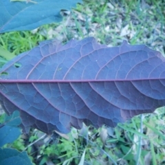 Unverified at suppressed - suppressed