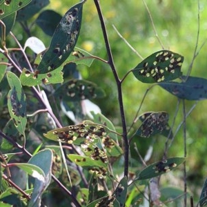 Unverified at suppressed - suppressed