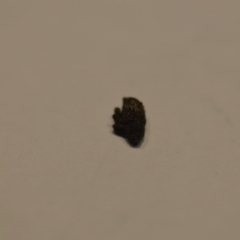 Unidentified at suppressed - 18 Sep 2020