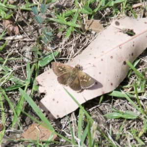 Unverified at suppressed - suppressed