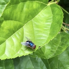 Unverified at suppressed - suppressed