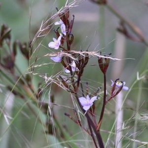 Unidentified at suppressed - 28 Dec 2020