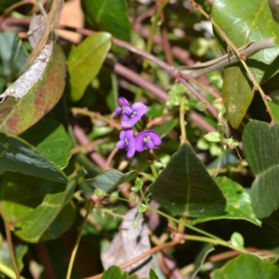 Hardenbergia violacea (False Sarsaparilla) at Yass River, NSW - 3 Nov 2020 by 120Acres