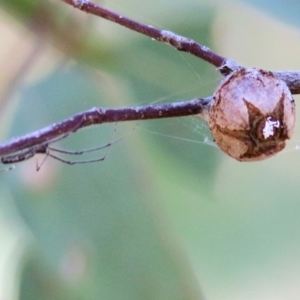 Unidentified at suppressed - 10 Jan 2021