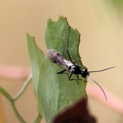 Unverified at suppressed - suppressed