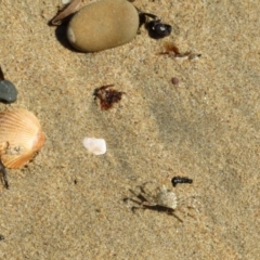 Unverified at suppressed - suppressed