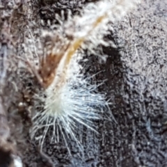 Unverified at suppressed - suppressed