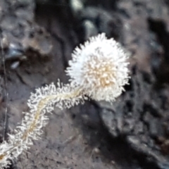 Unverified at suppressed - suppressed