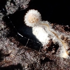 Unverified at suppressed - suppressed