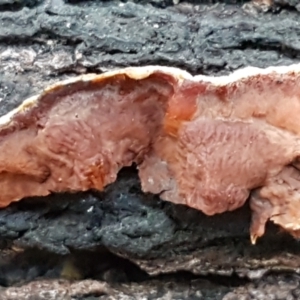 Unverified at suppressed - suppressed