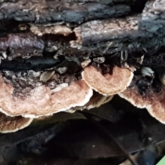 Unverified at suppressed - suppressed