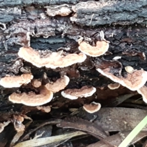 Unverified at suppressed - suppressed