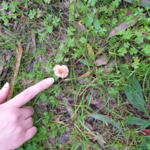 Unverified at suppressed - suppressed