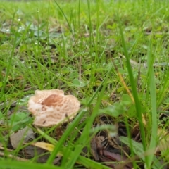 Unverified at suppressed - suppressed