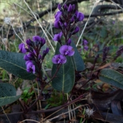 Hardenbergia violacea (False Sarsaparilla) at Jerrabomberra, NSW - 25 Jul 2021 by Paul4K