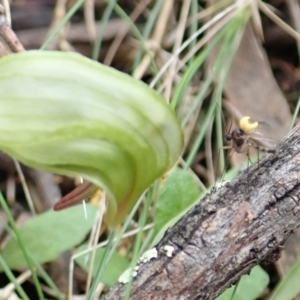 Unidentified at suppressed - 20 Jun 2021