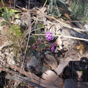 Hardenbergia violacea at Calwell, ACT - 15 Aug 2021