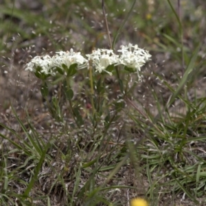 Unidentified at suppressed - 20 Nov 2020