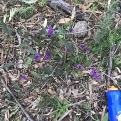 Hardenbergia violacea at Garran, ACT - 27 Aug 2021