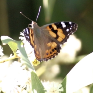 Vanessa kershawi at Killara, VIC - 11 Sep 2021