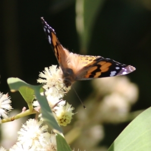 Vanessa kershawi at Killara, VIC - 11 Sep 2021