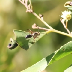 Unverified at suppressed - suppressed