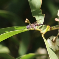 Unidentified at suppressed - 11 Sep 2021