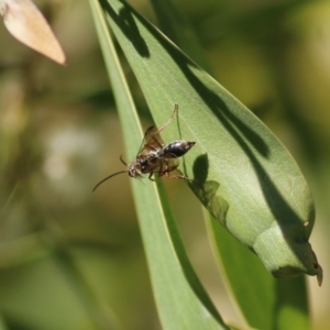 Unidentified at suppressed - 11 Sep 2021