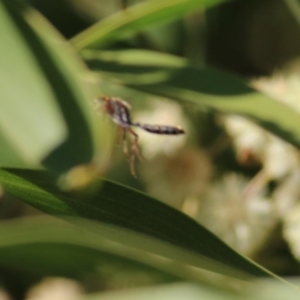 Unverified at suppressed - suppressed