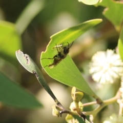 Unverified at suppressed - suppressed