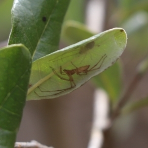 Unidentified at suppressed - 10 Sep 2021