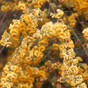 Unverified at suppressed - suppressed