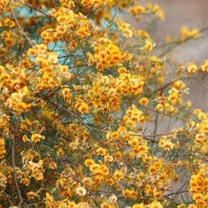 Unverified at suppressed - suppressed