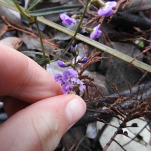 Glycine clandestina at Carwoola, NSW - 29 Sep 2021