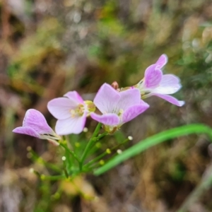 Unidentified at suppressed - 1 Oct 2021