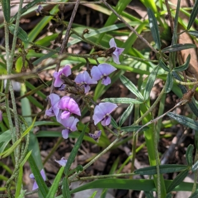 Glycine clandestina (Twining Glycine) at Norris Hill - 8 Oct 2021 by Darcy