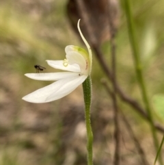 Unidentified at suppressed - 10 Oct 2021