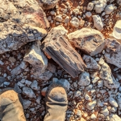 Unverified at suppressed - suppressed