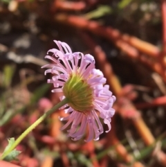 Unidentified at suppressed - 1 Jul 2021