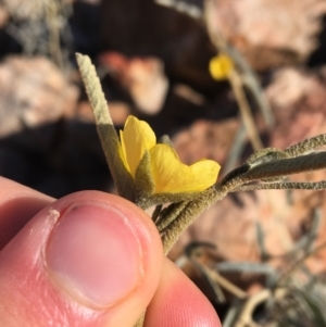 Unidentified at suppressed - 3 Jul 2021